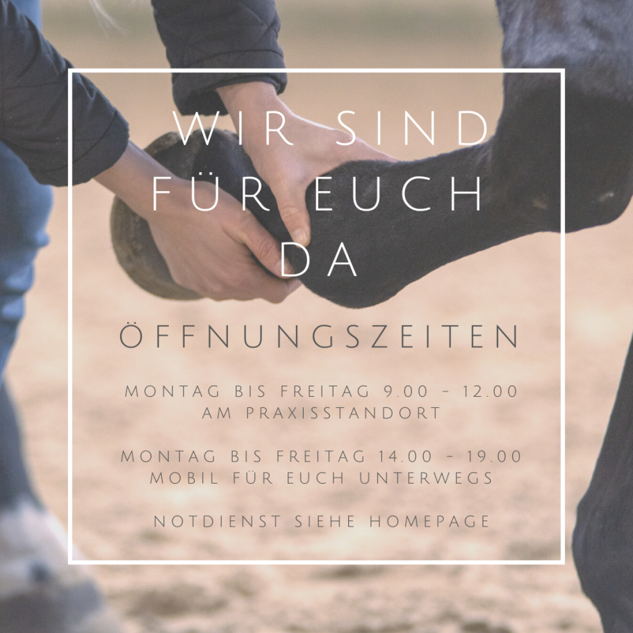 ÖFFNUNGSZEITEN