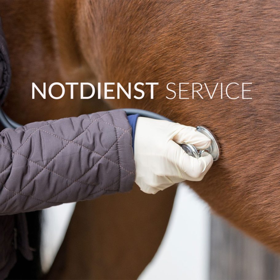 TIERÄRZTLICHER NOTDIENST